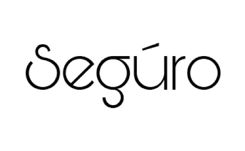 логотип Seguro