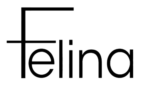 Логотип Felina