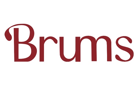 логотип Brums