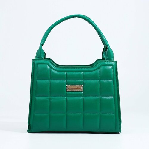 женская сумка для обуви мастер к, зеленая