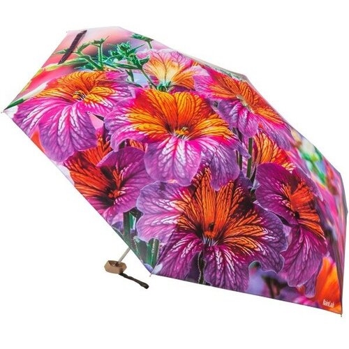женский зонт rainlab, фиолетовый