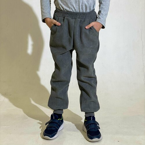 утепленные брюки сиалия для мальчика, серые