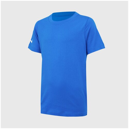 мужская спортивные футболка nike, синяя