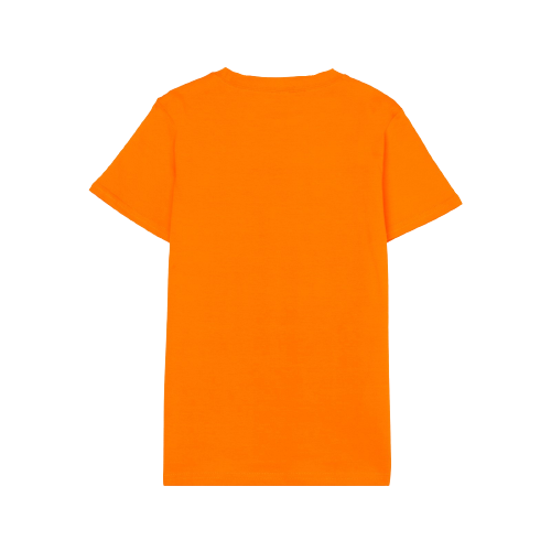 футболка bonito kids для мальчика, оранжевая