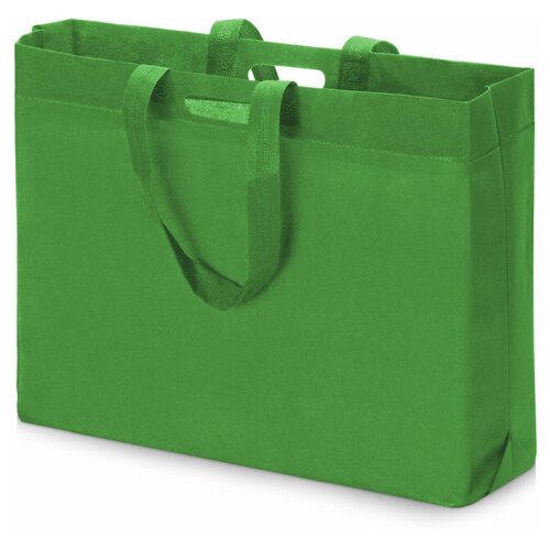 сумка для обуви yoogift, зеленая