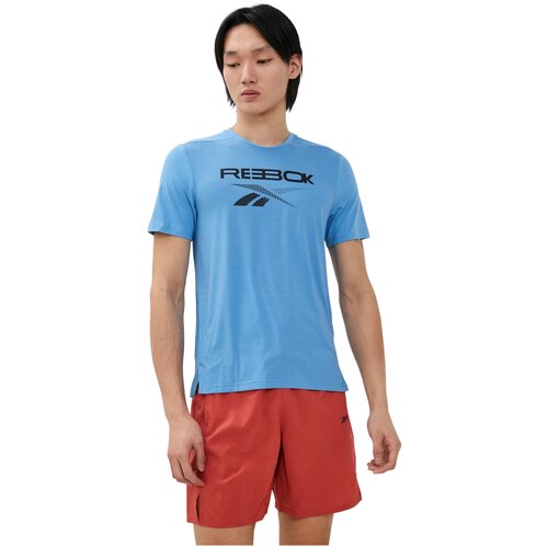 мужская спортивные футболка reebok, голубая