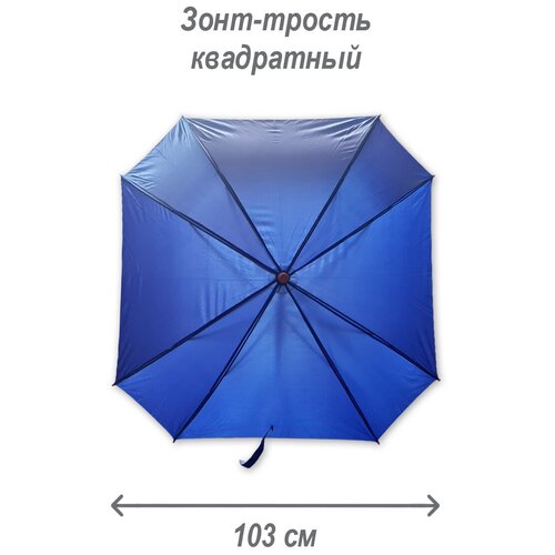 женский зонт-трости фабрика зонтов, синий