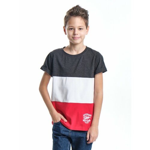 футболка mini maxi для мальчика, разноцветная