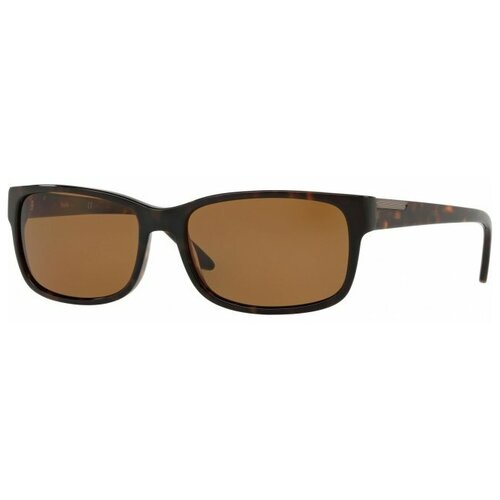 мужские солнцезащитные очки sferoflex, коричневые