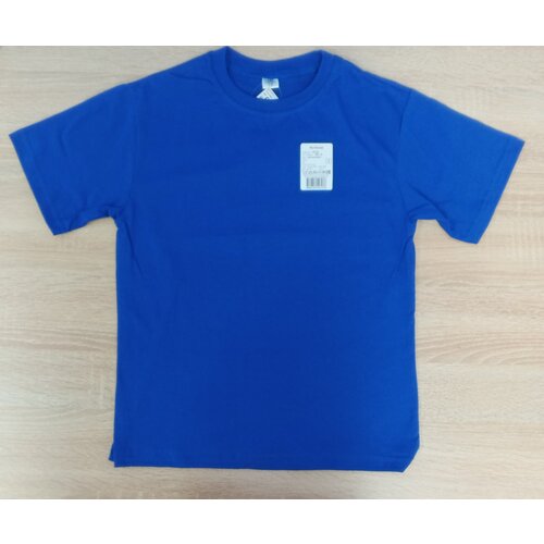 футболка без бренда для мальчика, синяя