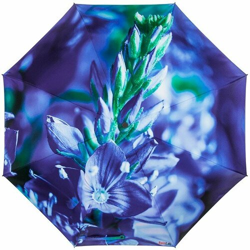 женский зонт rainlab, фиолетовый