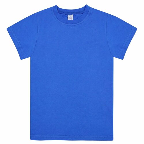 футболка bonito kids для мальчика, синяя