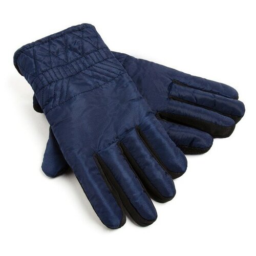 мужские перчатки теропром, синие