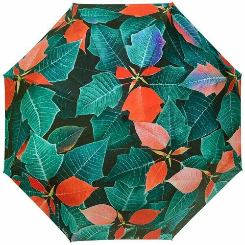женский зонт rainlab, зеленый