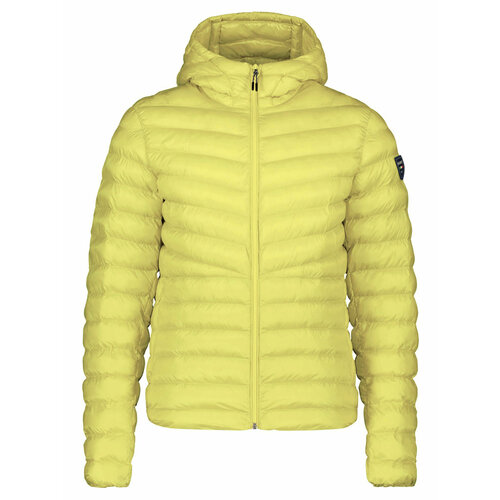 мужская горнолыжные куртка dolomite, желтая