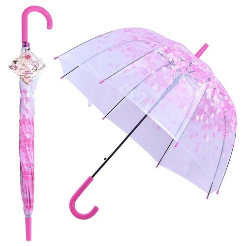 женский зонт мультидом, разноцветный
