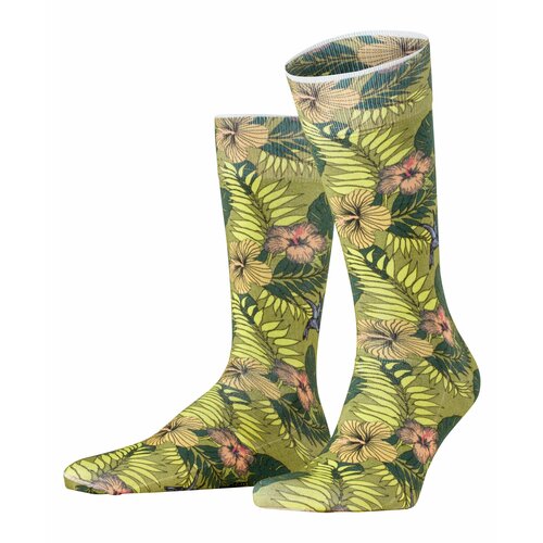мужские носки burlington, зеленые