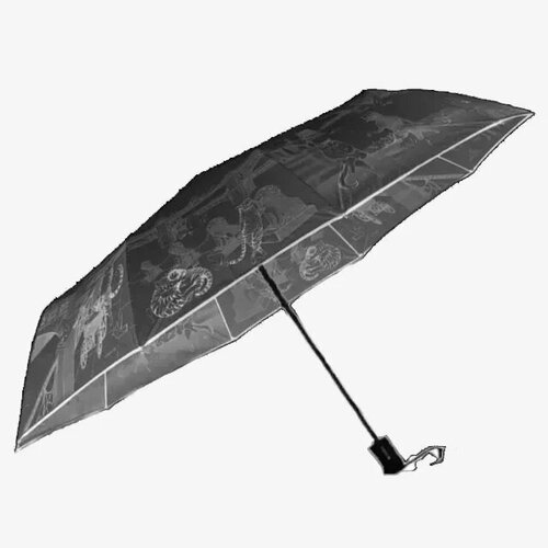 женский зонт euroclim, черный