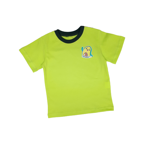 футболка золотой ключик для мальчика, зеленая