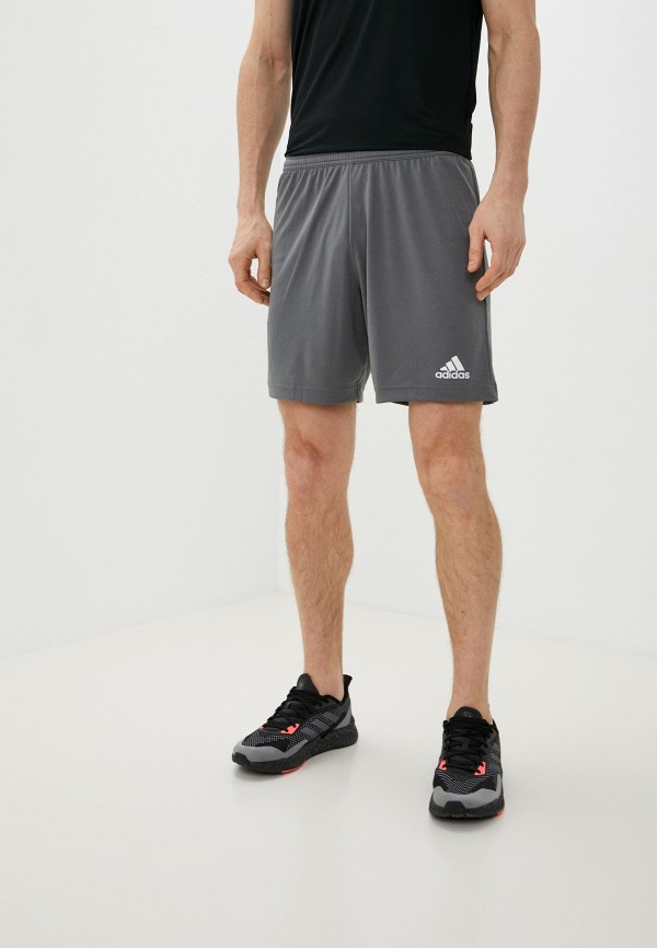 мужские спортивные шорты adidas, серые