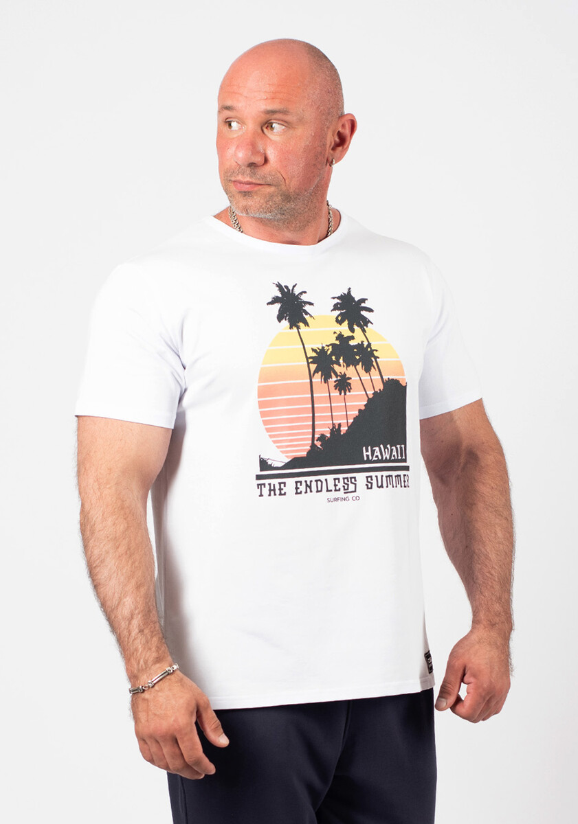 мужская футболка с коротким рукавом d-studio