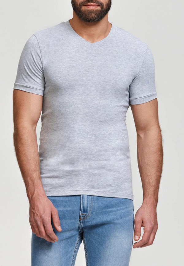 мужская футболка с коротким рукавом envylab, серая