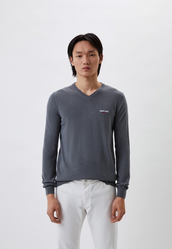 мужской пуловер roberto cavalli sport, серый