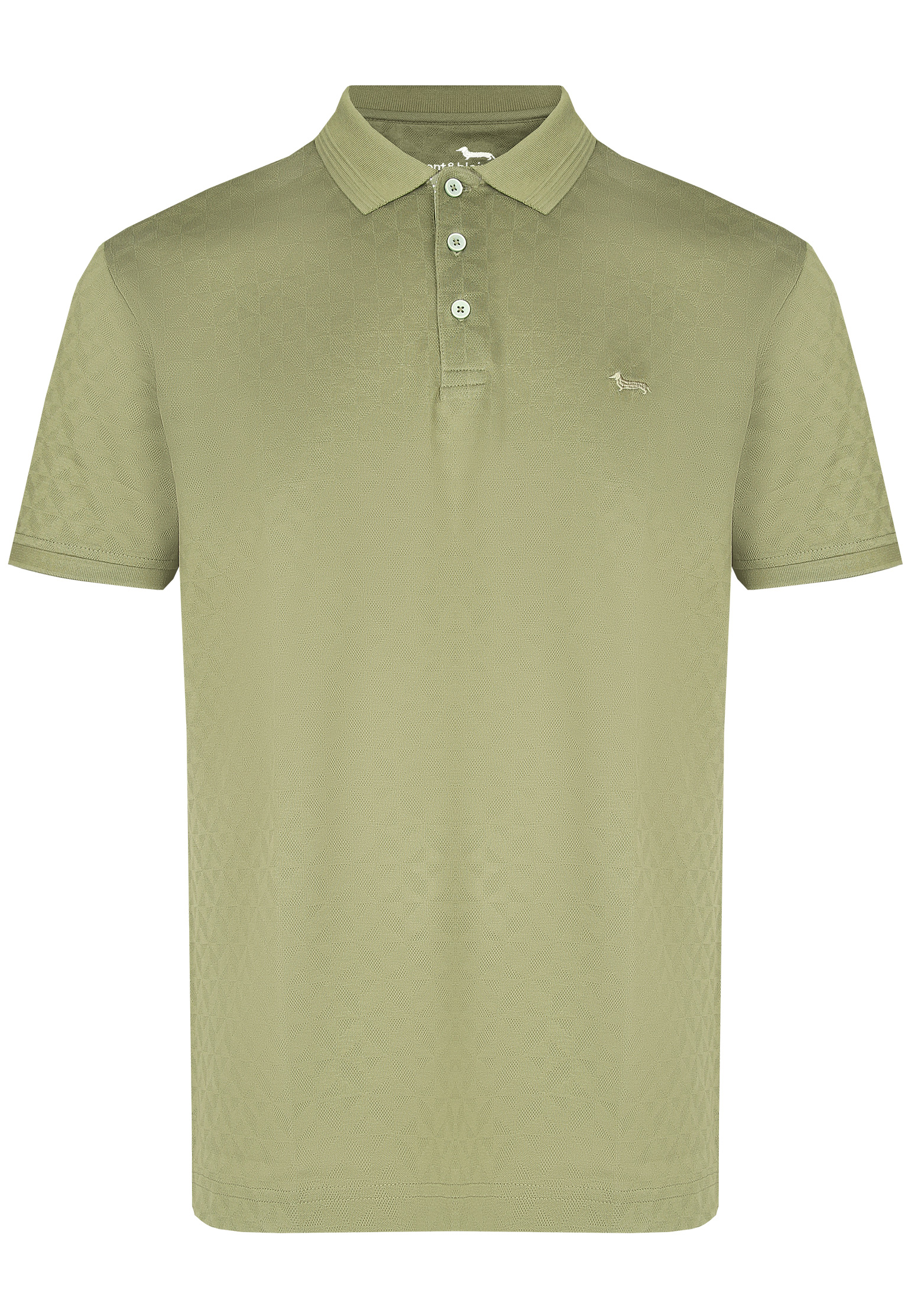 мужская футболка harmont&blaine, зеленая